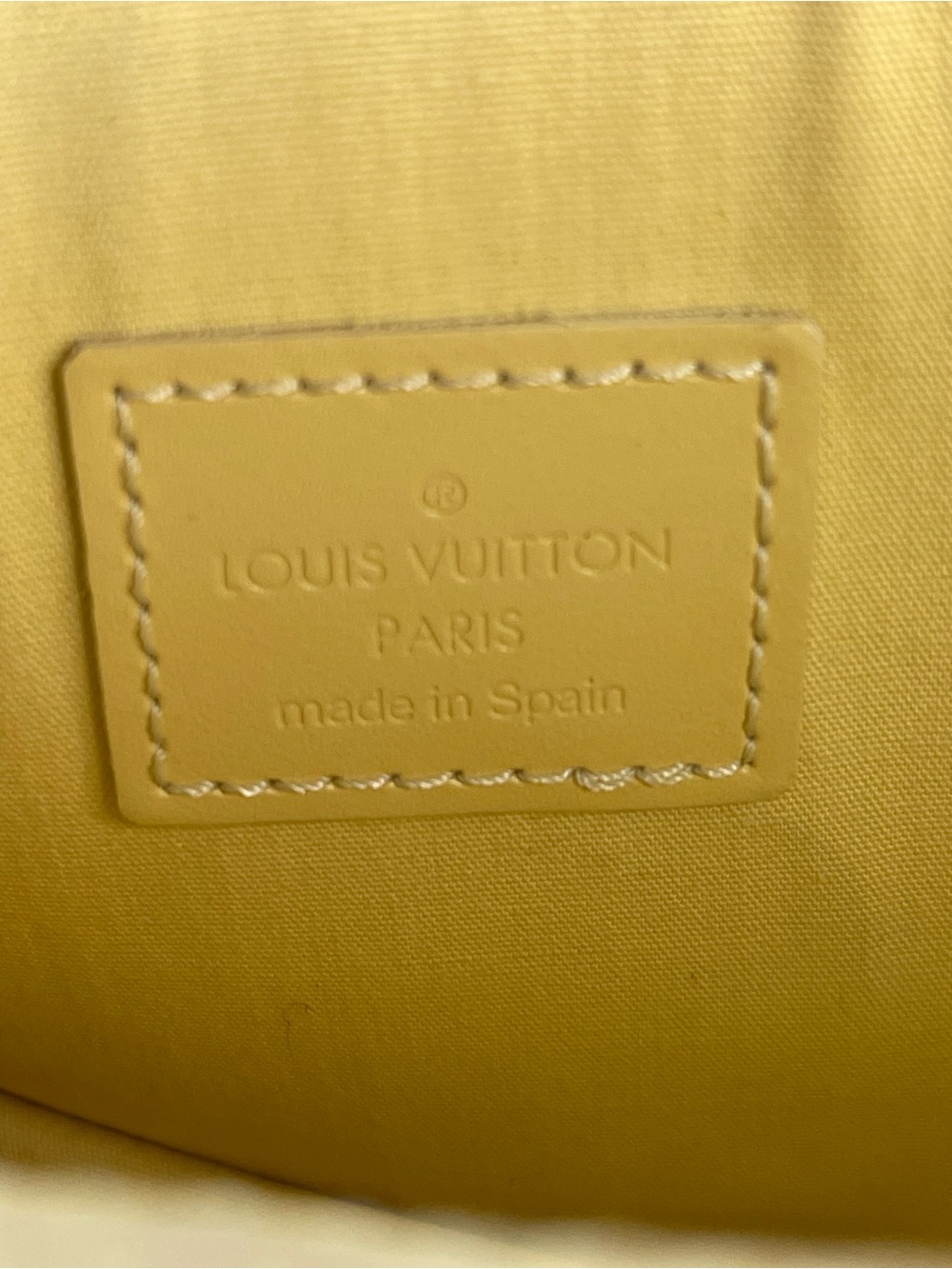 Louis Vuitton anilla Rochelle Belt Bag - Picture 9 of 13